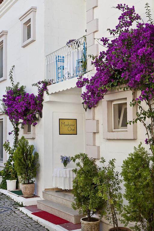 Moshinos Hotel Ayvalik Exterior photo